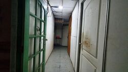 Macpherson Road (D13), Apartment #523830421